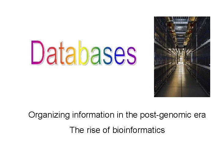 Organizing information in the post-genomic era The rise of bioinformatics Organizing information in the post-genomic era The rise of bioinformatics