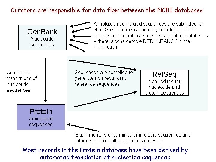 Curators are responsible for data flow between the NCBI databases Gen. Bank Nucleotide sequences Curators are responsible for data flow between the NCBI databases Gen. Bank Nucleotide sequences