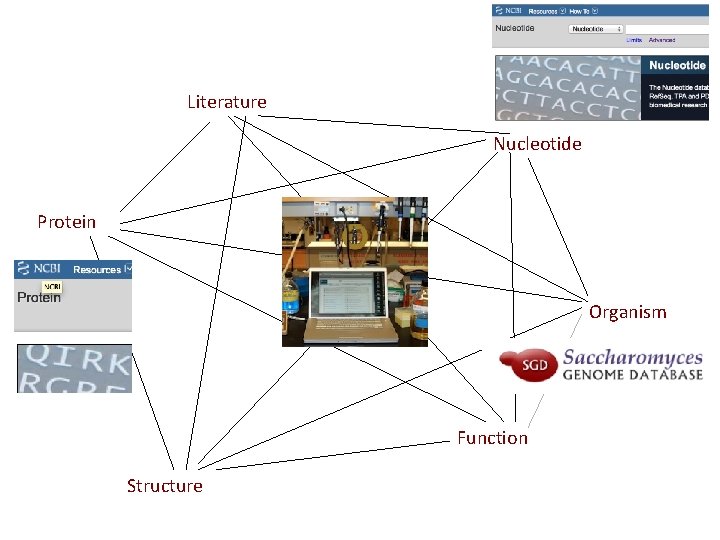 Literature Nucleotide Protein Organism Function Structure Literature Nucleotide Protein Organism Function Structure