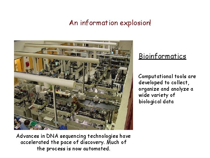 An information explosion! Bioinformatics Computational tools are developed to collect, organize and analyze a An information explosion! Bioinformatics Computational tools are developed to collect, organize and analyze a