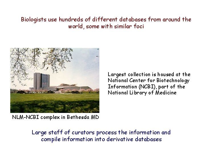 Biologists use hundreds of different databases from around the world, some with similar foci Biologists use hundreds of different databases from around the world, some with similar foci