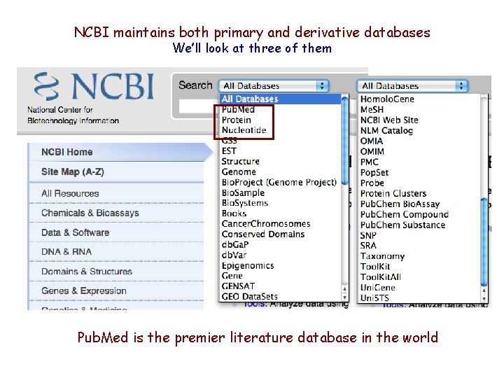 NCBI maintains both primary and derivative databases We’ll look at three of them Pub. NCBI maintains both primary and derivative databases We’ll look at three of them Pub.
