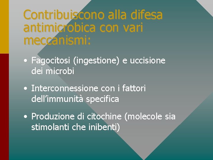 Contribuiscono alla difesa antimicrobica con vari meccanismi: • Fagocitosi (ingestione) e uccisione dei microbi