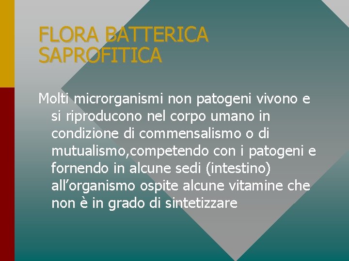 FLORA BATTERICA SAPROFITICA Molti microrganismi non patogeni vivono e si riproducono nel corpo umano