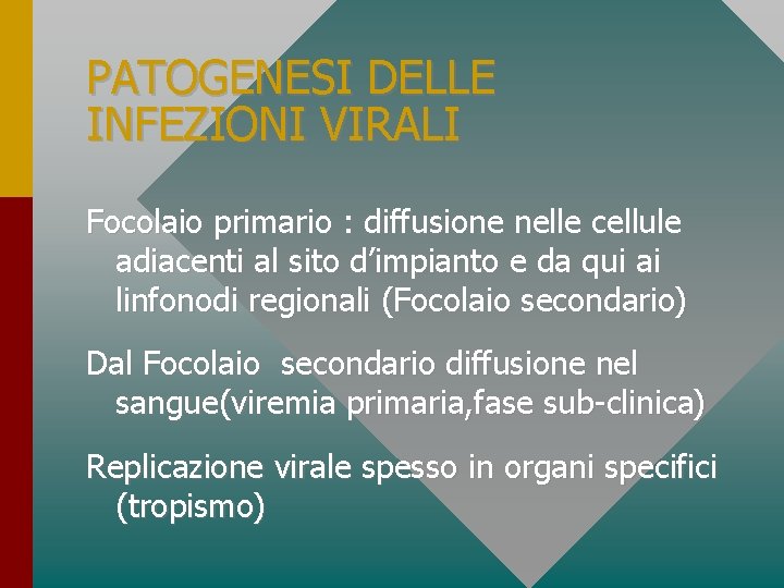 PATOGENESI DELLE INFEZIONI VIRALI Focolaio primario : diffusione nelle cellule adiacenti al sito d’impianto