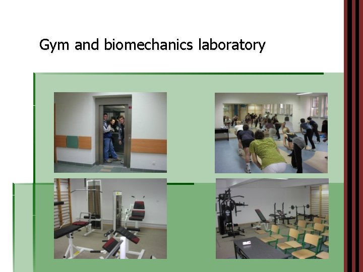 Gym and biomechanics laboratory 