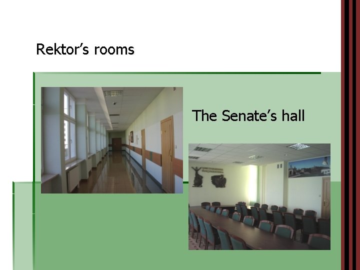 Rektor’s rooms The Senate’s hall 