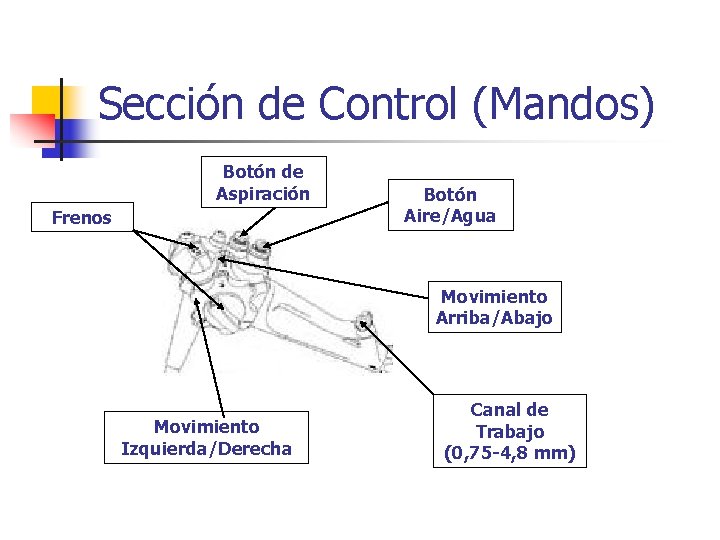 Sección de Control (Mandos) Botón de Aspiración Frenos Botón Aire/Agua Movimiento Arriba/Abajo Movimiento Izquierda/Derecha