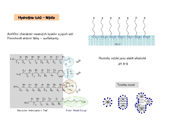 Hydrolýza tuků - Mýdla Amfifilní charakter mastných kyselin a jejich solí. Povrchově aktivní látky