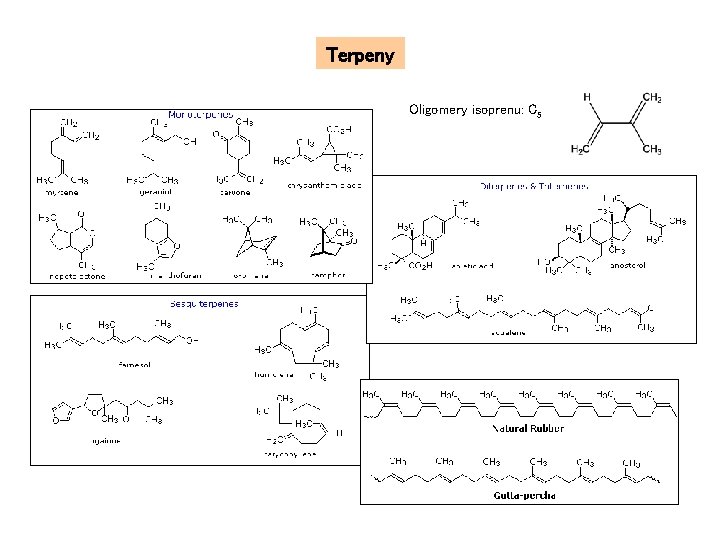 Terpeny Oligomery isoprenu: C 5 