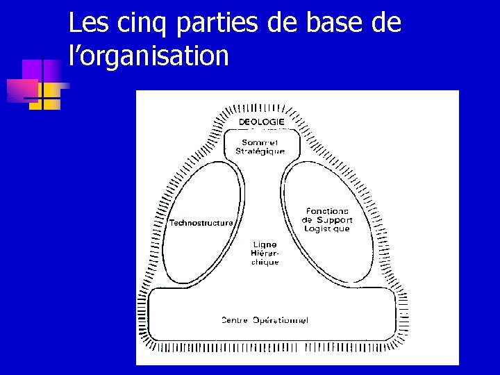 Les cinq parties de base de l’organisation Anne Flautre - sociologue - EMAC Les cinq parties de base de l’organisation Anne Flautre - sociologue - EMAC