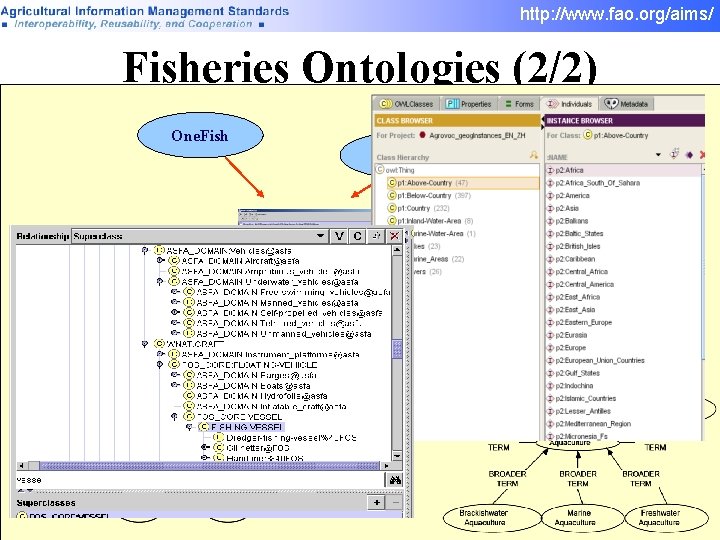 http: //www. fao. org/aims/ Fisheries Ontologies (2/2) diseases One. Fish FIGIS strains Species life http: //www. fao. org/aims/ Fisheries Ontologies (2/2) diseases One. Fish FIGIS strains Species life