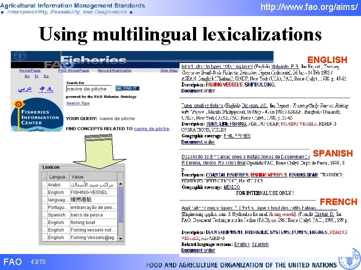 http: //www. fao. org/aims/ Using multilingual lexicalizations ENGLISH SPANISH FRENCH FAO 43/70 http: //www. fao. org/aims/ Using multilingual lexicalizations ENGLISH SPANISH FRENCH FAO 43/70