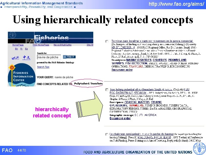 http: //www. fao. org/aims/ Using hierarchically related concepts Polyvalent Trawlers hierarchically related concept FAO http: //www. fao. org/aims/ Using hierarchically related concepts Polyvalent Trawlers hierarchically related concept FAO
