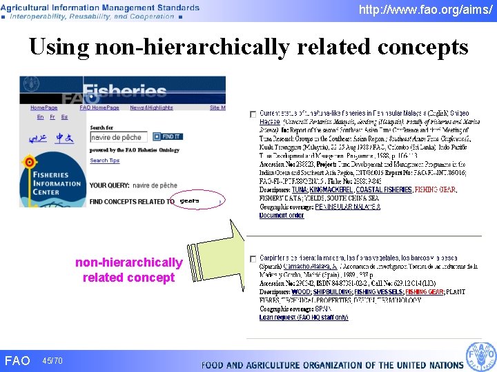 http: //www. fao. org/aims/ Using non-hierarchically related concepts gears non-hierarchically related concept FAO 45/70 http: //www. fao. org/aims/ Using non-hierarchically related concepts gears non-hierarchically related concept FAO 45/70