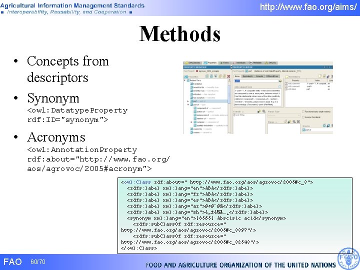 http: //www. fao. org/aims/ Methods • Concepts from descriptors • Synonym <owl: Datatype. Property http: //www. fao. org/aims/ Methods • Concepts from descriptors • Synonym <owl: Datatype. Property