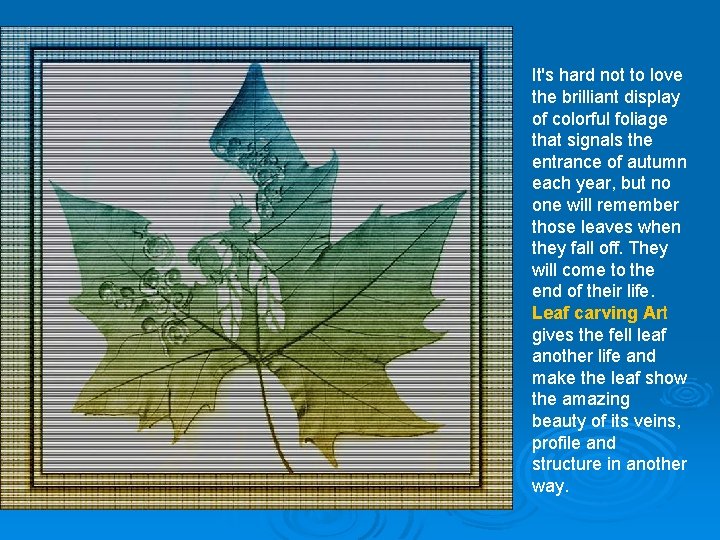 It's hard not to love the brilliant display of colorful foliage that signals the It's hard not to love the brilliant display of colorful foliage that signals the