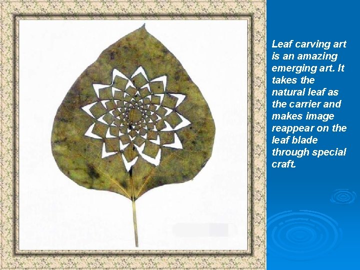Leaf carving art is an amazing emerging art. It takes the natural leaf as Leaf carving art is an amazing emerging art. It takes the natural leaf as