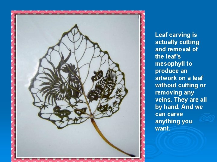 Leaf carving is actually cutting and removal of the leaf's mesophyll to produce an Leaf carving is actually cutting and removal of the leaf's mesophyll to produce an