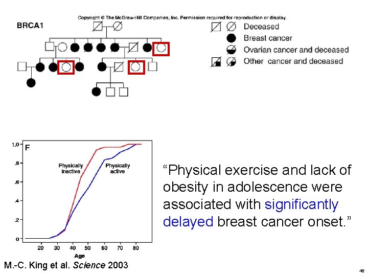 “Physical exercise and lack of obesity in adolescence were associated with significantly delayed breast