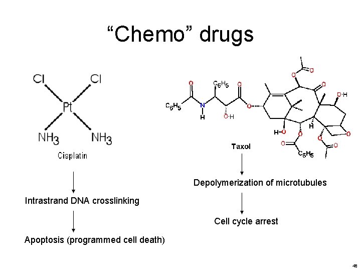 “Chemo” drugs Depolymerization of microtubules Intrastrand DNA crosslinking Cell cycle arrest Apoptosis (programmed cell