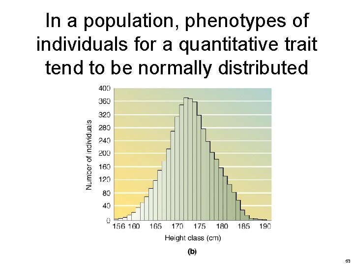 In a population, phenotypes of individuals for a quantitative trait tend to be normally