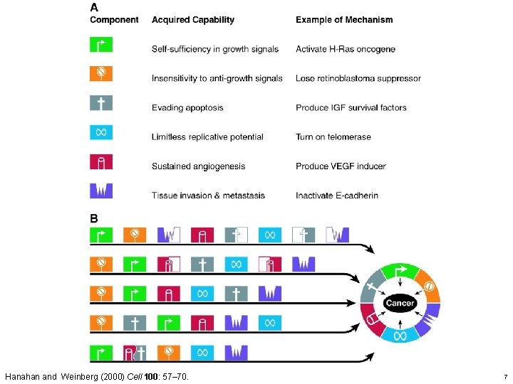 Hanahan and Weinberg (2000) Cell 100: 57– 70. 7 