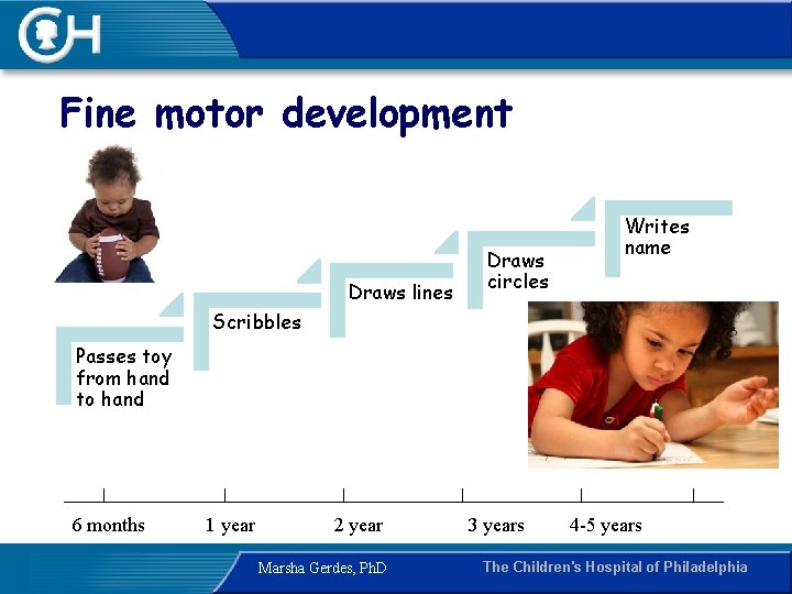 Fine motor development Draws lines Draws circles Writes name Scribbles Passes toy from hand