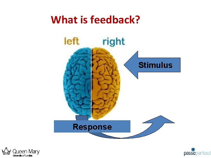 What is feedback? Stimulus Response 