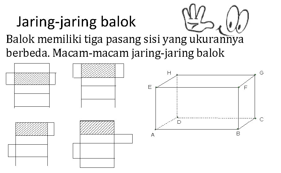 Jaring-jaring balok Balok memiliki tiga pasang sisi yang ukurannya berbeda. Macam-macam jaring-jaring balok 