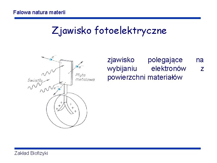 Falowa natura materii Zjawisko fotoelektryczne zjawisko polegające wybijaniu elektronów powierzchni materiałów Zakład Biofizyki na