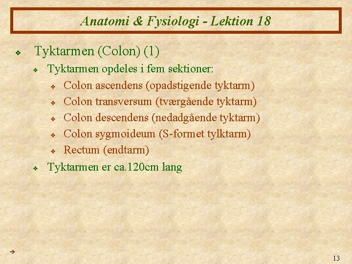 Anatomi & Fysiologi - Lektion 18 v Tyktarmen (Colon) (1) v v Tyktarmen opdeles