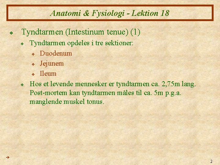 Anatomi & Fysiologi - Lektion 18 v Tyndtarmen (Intestinum tenue) (1) v v Tyndtarmen