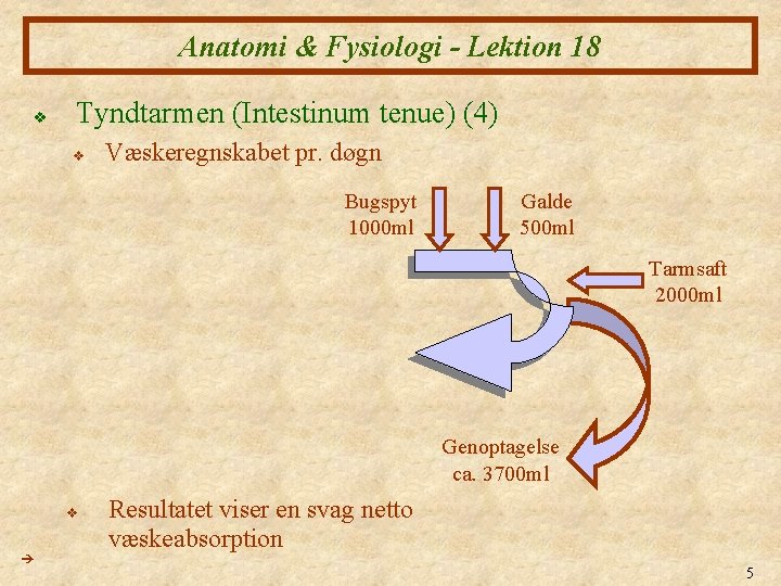 Anatomi & Fysiologi - Lektion 18 v Tyndtarmen (Intestinum tenue) (4) v Væskeregnskabet pr.