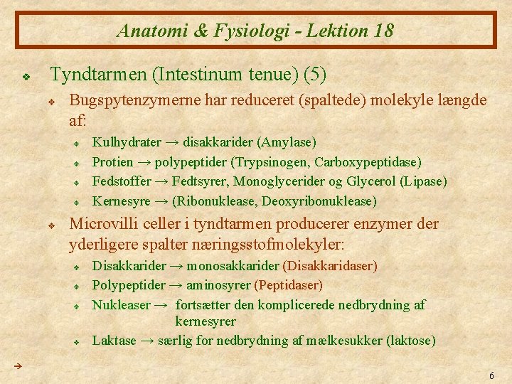 Anatomi & Fysiologi - Lektion 18 v Tyndtarmen (Intestinum tenue) (5) v Bugspytenzymerne har