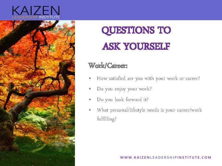 QUESTIONS TO ASK YOURSELF Work/Career: • • How satisfied are you with your work