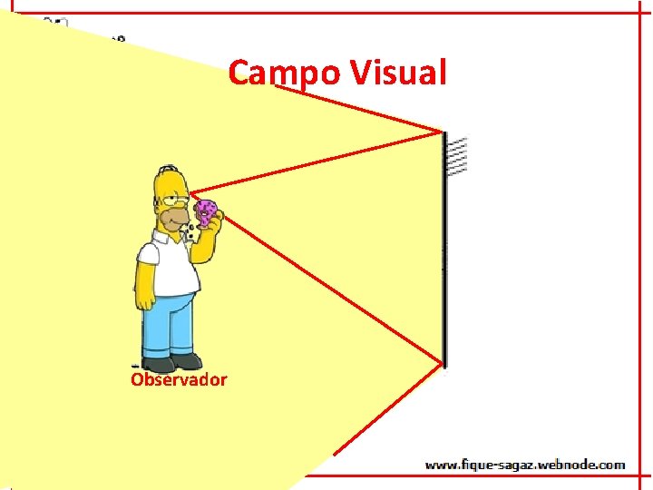 Campo Visual Observador 