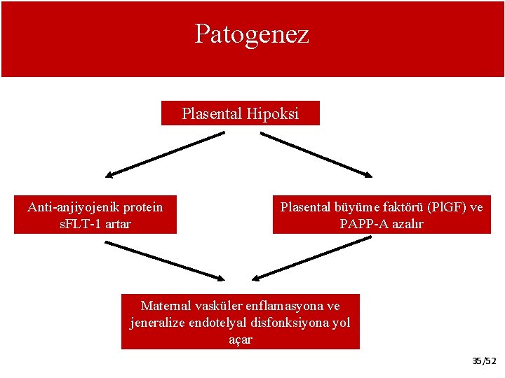 Patogenez Plasental Hipoksi Anti-anjiyojenik protein s. FLT-1 artar Plasental büyüme faktörü (Pl. GF) ve