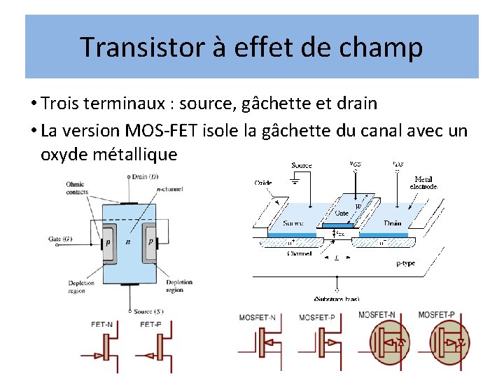 Transistor à effet de champ • Trois terminaux : source, gâchette et drain • Transistor à effet de champ • Trois terminaux : source, gâchette et drain •