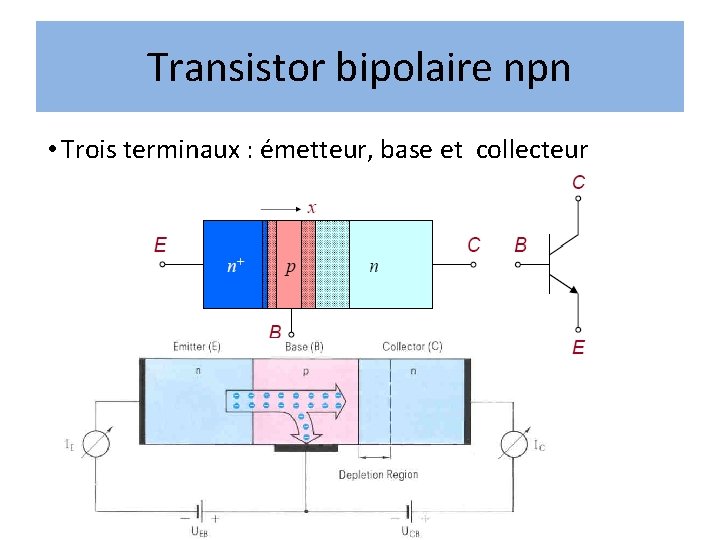 Transistor bipolaire npn • Trois terminaux : émetteur, base et collecteur Transistor bipolaire npn • Trois terminaux : émetteur, base et collecteur