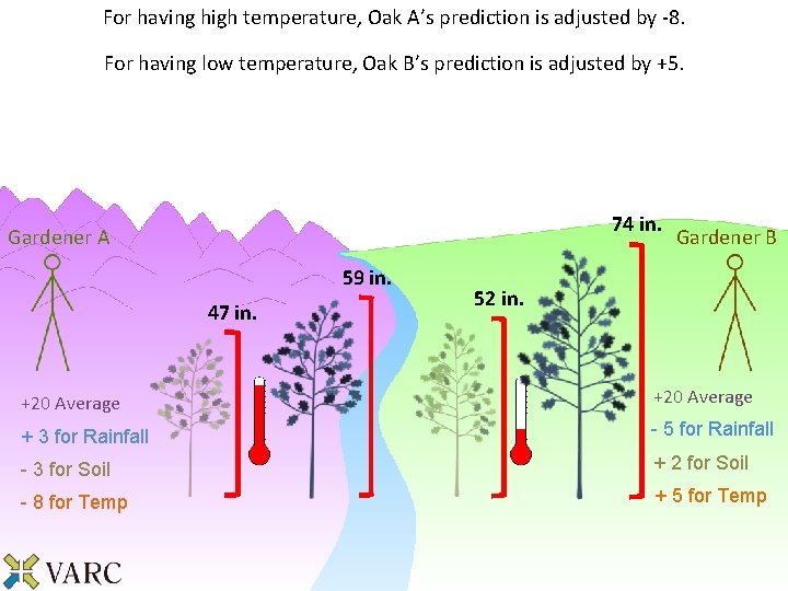 For having high temperature, Oak A’s prediction is adjusted by -8. For having low