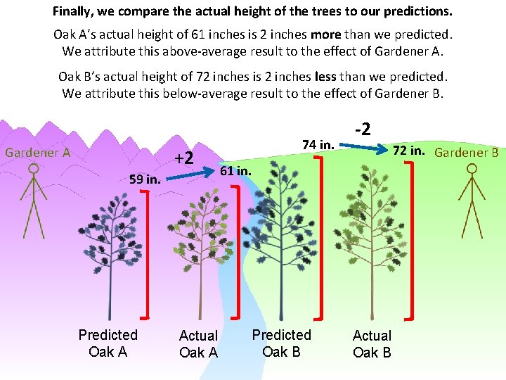 Finally, we compare the actual height of the trees to our predictions. Oak A’s