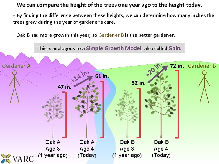 We can compare the height of the trees one year ago to the height