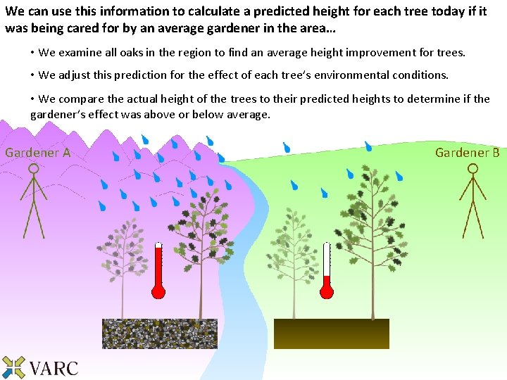 We can use this information to calculate a predicted height for each tree today