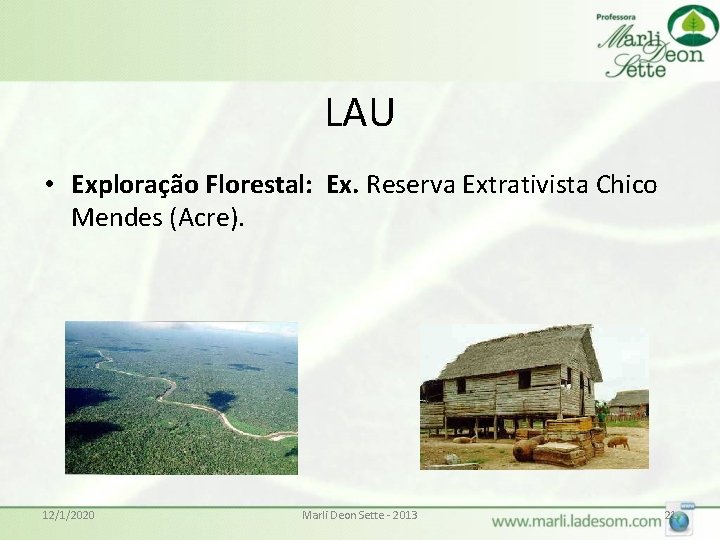 LAU • Exploração Florestal: Ex. Reserva Extrativista Chico Mendes (Acre). 12/1/2020 Marli Deon Sette