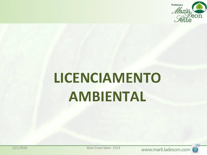 LICENCIAMENTO AMBIENTAL 12/1/2020 Marli Deon Sette - 2013 3 