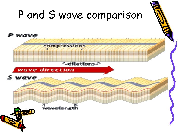 P and S wave comparison 