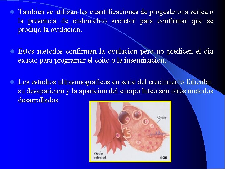 l Tambien se utilizan las cuantificaciones de progesterona serica o la presencia de endometrio