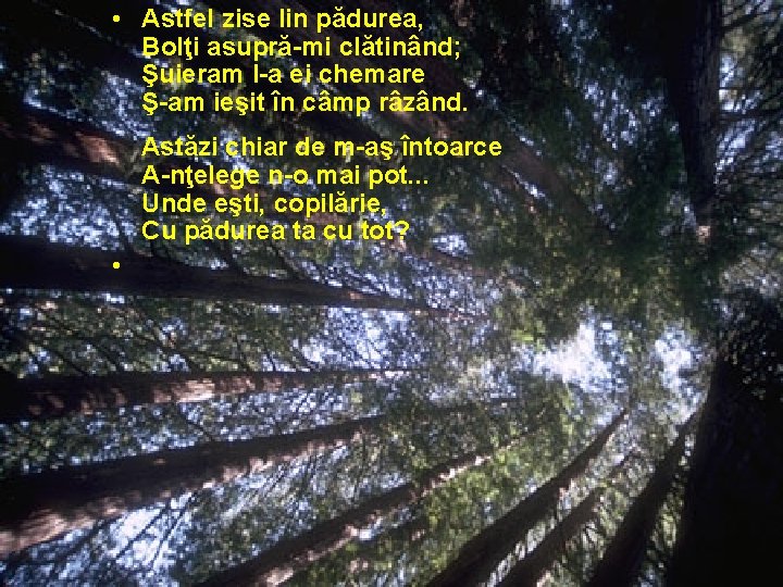  • Astfel zise lin pădurea, Bolţi asupră-mi clătinând; Şuieram l-a ei chemare Ş-am