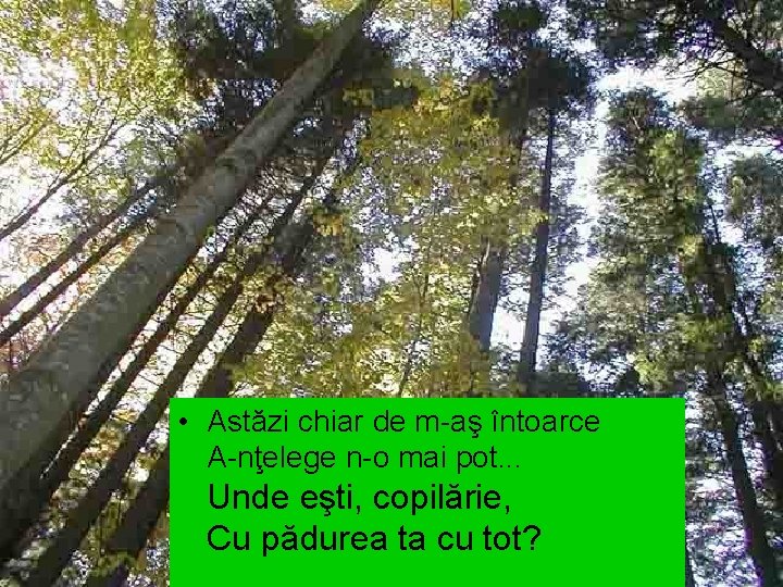  • Astăzi chiar de m-aş întoarce A-nţelege n-o mai pot. . . Unde